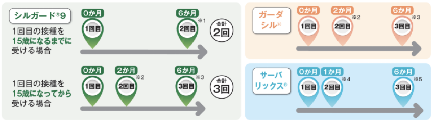 “ワクチンの接種時期と回数の図解”